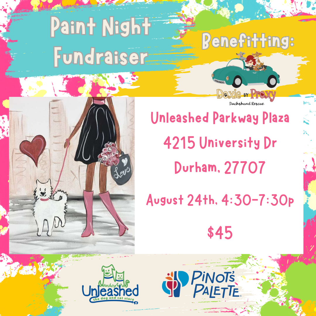 Paint Night FUNdraiser benefitting Doxie by Proxie 